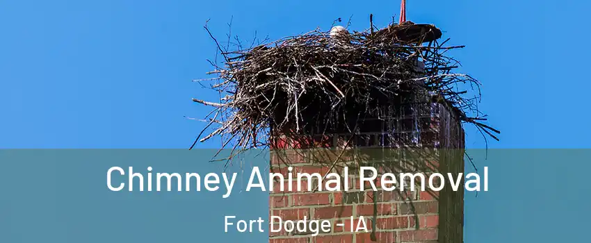  Chimney Animal Removal Fort Dodge - IA