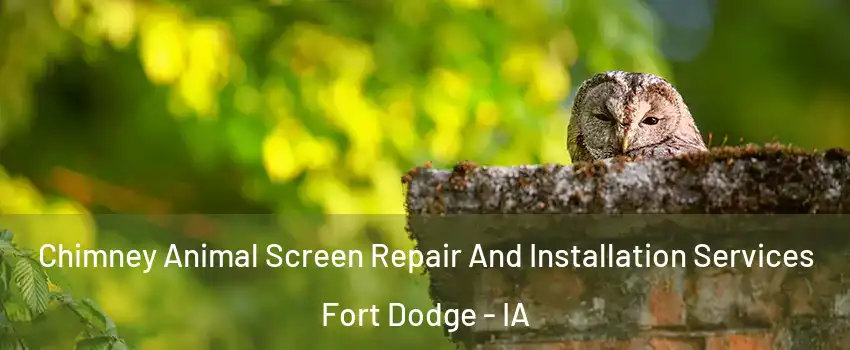  Chimney Animal Screen Repair And Installation Services Fort Dodge - IA