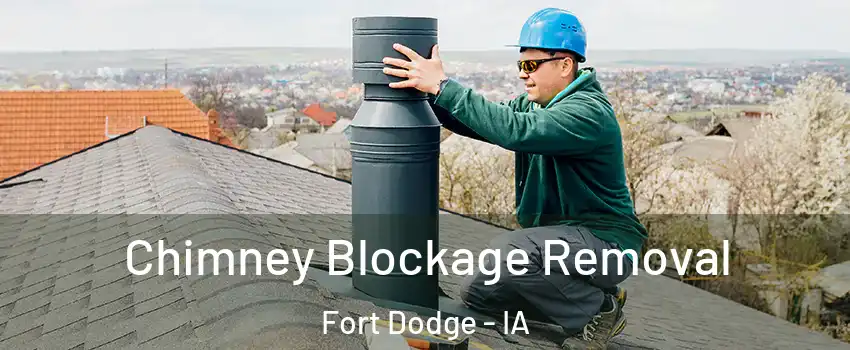  Chimney Blockage Removal Fort Dodge - IA