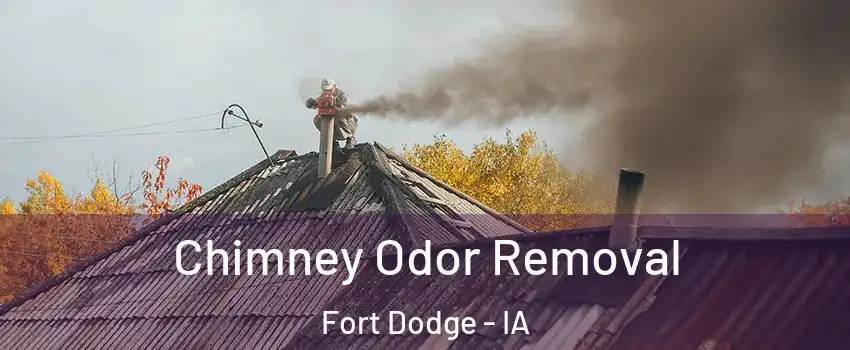  Chimney Odor Removal Fort Dodge - IA