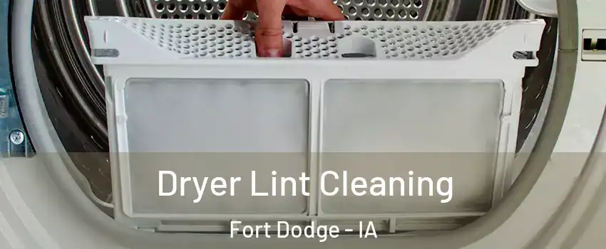  Dryer Lint Cleaning Fort Dodge - IA