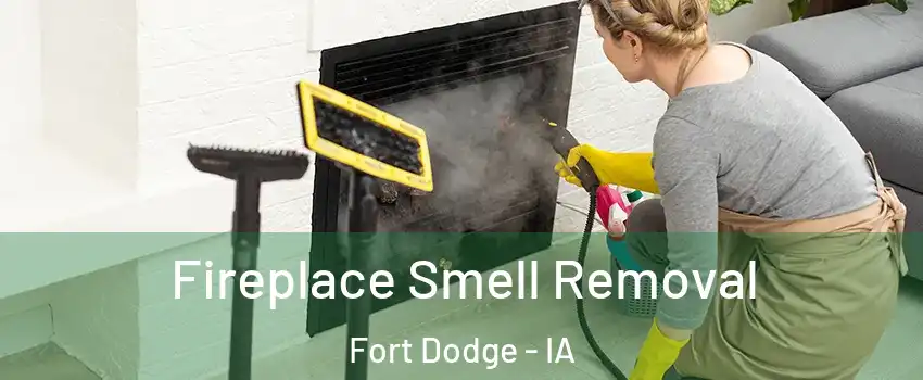  Fireplace Smell Removal Fort Dodge - IA
