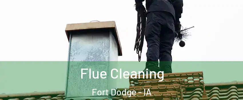  Flue Cleaning Fort Dodge - IA