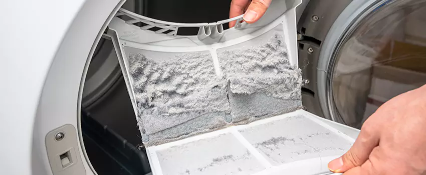 Best Dryer Lint Removal Company in Fort Dodge, Iowa