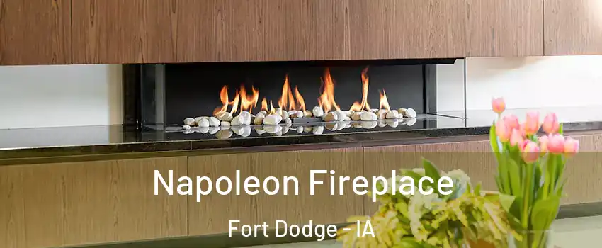  Napoleon Fireplace Fort Dodge - IA