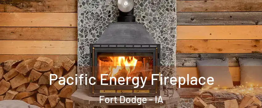  Pacific Energy Fireplace Fort Dodge - IA